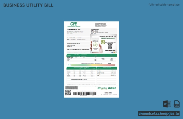 Beispielseite 1 einer Stromrechnung der Federal Electricity Commission (CFE)